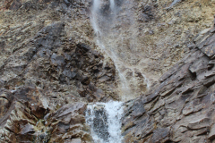 IMG_9240