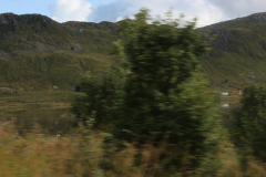 IMG_9736