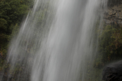 IMG_0018