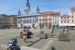 20210616_114751-1-scaled