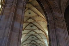IMG_20210620_164331-scaled