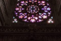IMG_20210620_164925-scaled
