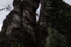 IMG_20210622_094033-scaled