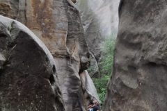 IMG_20210622_113812-scaled