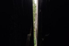 IMG_20210622_114042-scaled