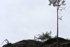 IMG_8432-scaled