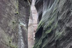 IMG_8435-scaled